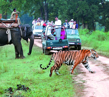 Chandigarh Nainital Jim Corbett Haridwar Rishikesh Mussoorie Tour